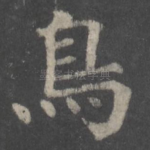 鸟