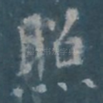照