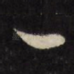 一