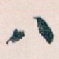 八