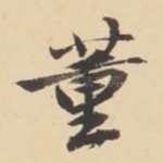 董