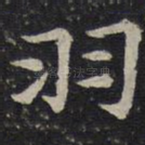 羽
