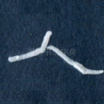 人