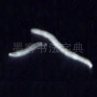 入