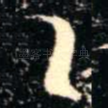 乙