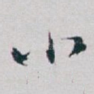 小