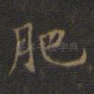 肥