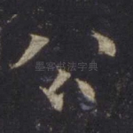 公