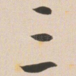 三