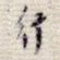 行