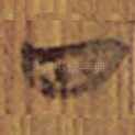 四
