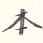 本