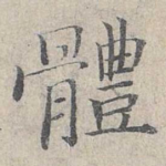 体
