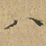 八