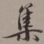 集