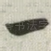 一