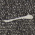 一