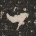 一