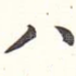 八