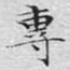 专