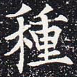 种