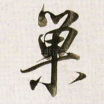 巢