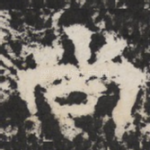 尚