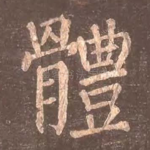 体