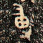 尃