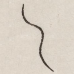 乙
