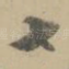 七