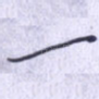 一