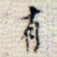 有