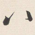八