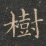 树