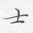 士