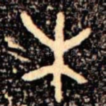 木