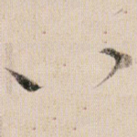 以