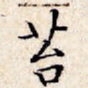 苔