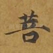 菩