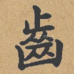齿