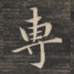 专