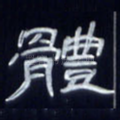 体