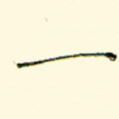 一