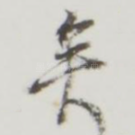 矣
