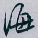 海