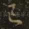 已