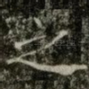 之