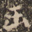 玉
