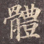 体